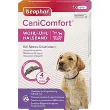 beaphar CaniComfort Wohlfühl-Halsband 45 cm Grau