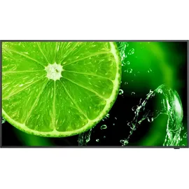 NEC MultiSync E328-2 32" schwarz