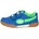 Blau 29