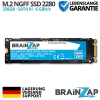 BRAINZAP 256GB SSD - M.2 NGFF 2280 SATA III 6 Gbit/s - 500 MB/s Interne SSD