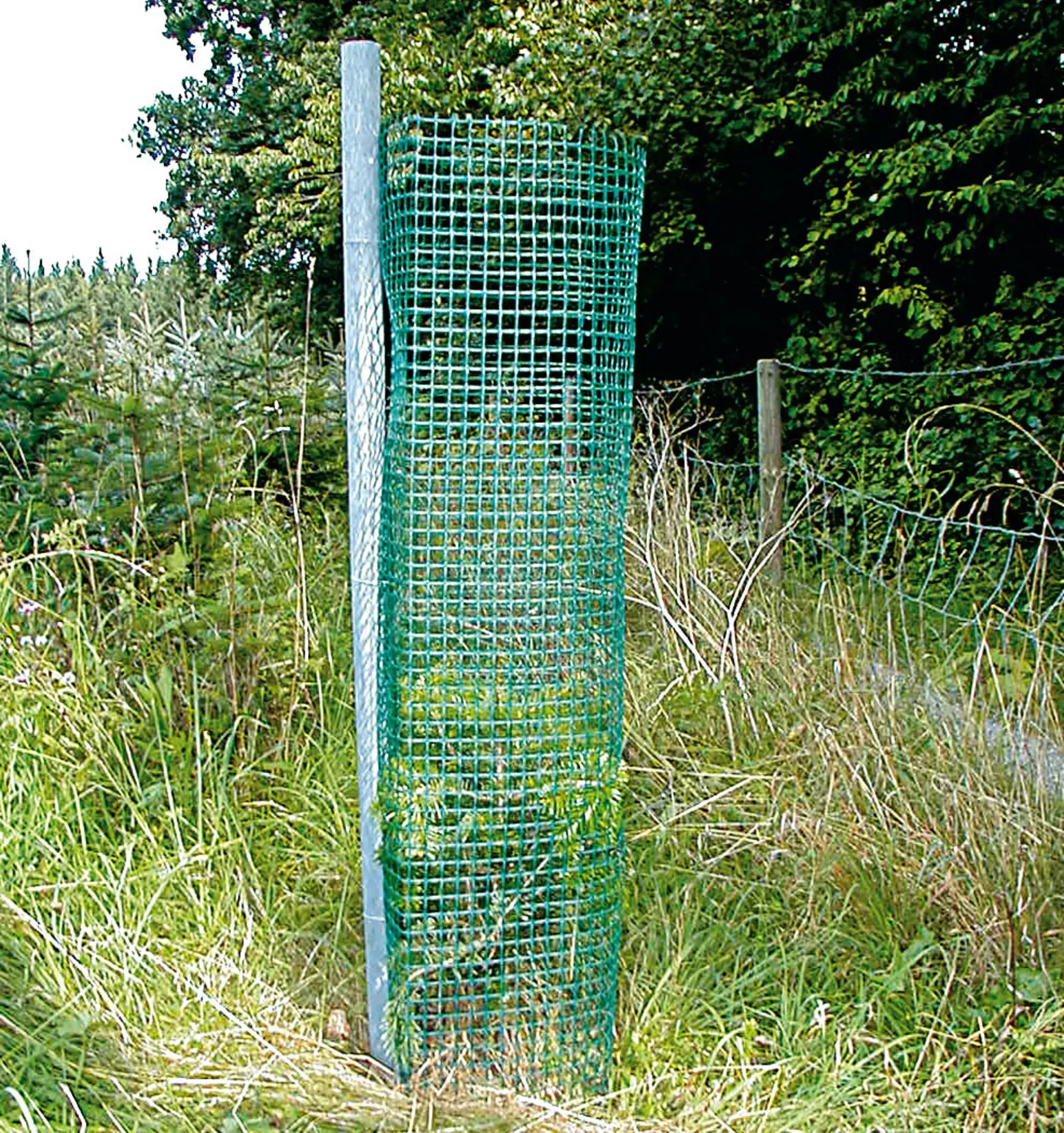 PlantaGard Baumschutz-Gitterhülle Freiwuchs