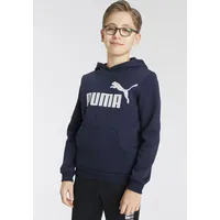 Puma Sweatshirt/Hoodie Kapuzenpullover