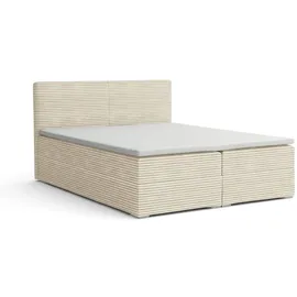 dein schlaf 24 BOXBETT LON III 160/200 in Cord Creme H4 - Creme