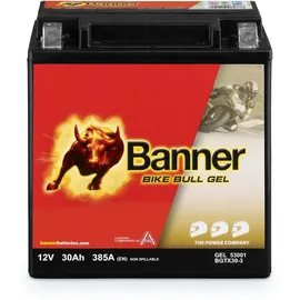 Banner GT30-3 30 Ah 385 A