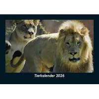 Vero Kalender Tierkalender 2026 Fotokalender DIN A5 von Tobias