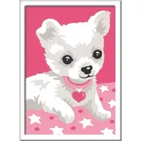 Ravensburger Malen nach Zahlen - Chihuahua