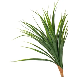 Beliani Kunstpflanze Dracaena Draco 165 cm) Grün