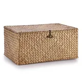 TOLIDA Seegras Gewebter Aufbewahrungskorb mit Deckel Natürliches Geflochtener Braun Regalkorb mit Schnalle zum Organisieren von Spielzeug Kleidung Obst für Kleiderschrank Wohnzimmer 40 * 28 * 19cm
