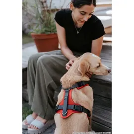 Hunter Geschirr Maldon Up rot/grau