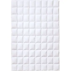 Kauffmann Superior 240x220 cm - leicht