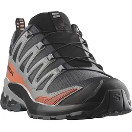 Salomon XA Pro 3D V9 GTX Herren Turbulence/Black/Burnt Ochre 41 1/3