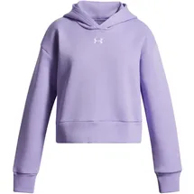 Under Armour Hoodie Transparent 140