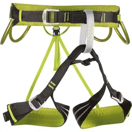 Camp Alpine Flash Klettergurt Grün
