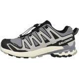 Salomon XA Pro 3D GTX Schuhe Größe 42 5 grau