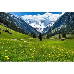 Fototapete PAPERMOON "ALPEN TIROL GEBIRGE", bunt, B:2,50m L:1,86m, Vlies, Tapeten