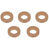 Delphi 9001-850L-12B1 Dichtring Einspritzventil