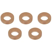 Delphi 9001-850L-12B1 Dichtring Einspritzventil