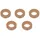 Delphi 9001-850L-12B1 Dichtring Einspritzventil