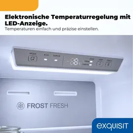 Exquisit KGC5380-115-NF-040A Kühl-Gefrierkombination (377 l, 2005 mm hoch, Weiß)