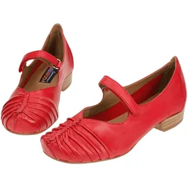 Everybody GALEGA rot EU