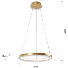 just light. Circle 1-flg. 39 cm gold, weiß