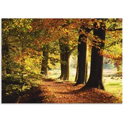 Wandbild ARTLAND "Herbstfarben", gelb (farbe bild(er): gelb), B:100cm H:70cm, Bilder, als Alubild, Outdoorbild, Leinwandbild in verschied. Größen