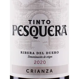 Alejandro Fernández Tinto Pesquera Crianza DO 2016 0,75 l
