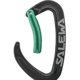 Salewa Ortles Bent Carabiner black/irish green (9150) UNI