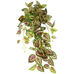 Kunstpflanze I.GE.A. "Buntnessel", grün (grün, rot), B:28cm H:80cm L:26cm, Obermaterial: 90% Polyester, 10% Kunststoff, Kunstpflanzen, Kletterpflanze