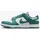 Nike Dunk Low Next Nature Damen White/Bicoastel 37,5