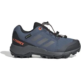 Adidas Terrex Kinder GTX Schuhe (Größe 36, blau)