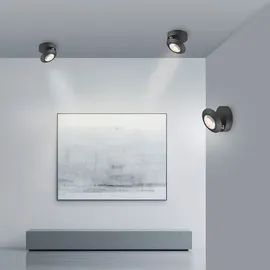 neuhaus pure Oculis (LED) 1, Ø 15cm H: 8cm schwarz