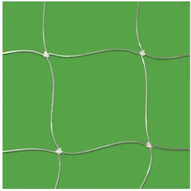 Allegra Katzenschutznetz 6 x 3m transparent / weiß