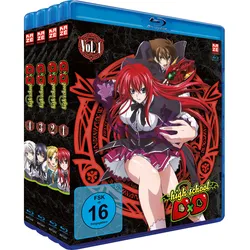 Highschool DxD - Blu-ray Gesamtausgabe ohne Schuber  [4 BRs]