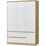 [en.casa] Kleiderschrank Bastheim 176x120x52 cm 6 Fächer