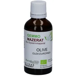 Gemmo Mazerat Olive – Gemmotherapie für Stoffwechsel und Kreislauf