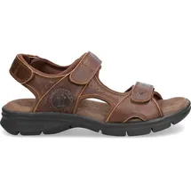 Panama Jack Salton Basics Braun 42