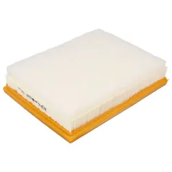 Luftfilter PURFLUX A3005