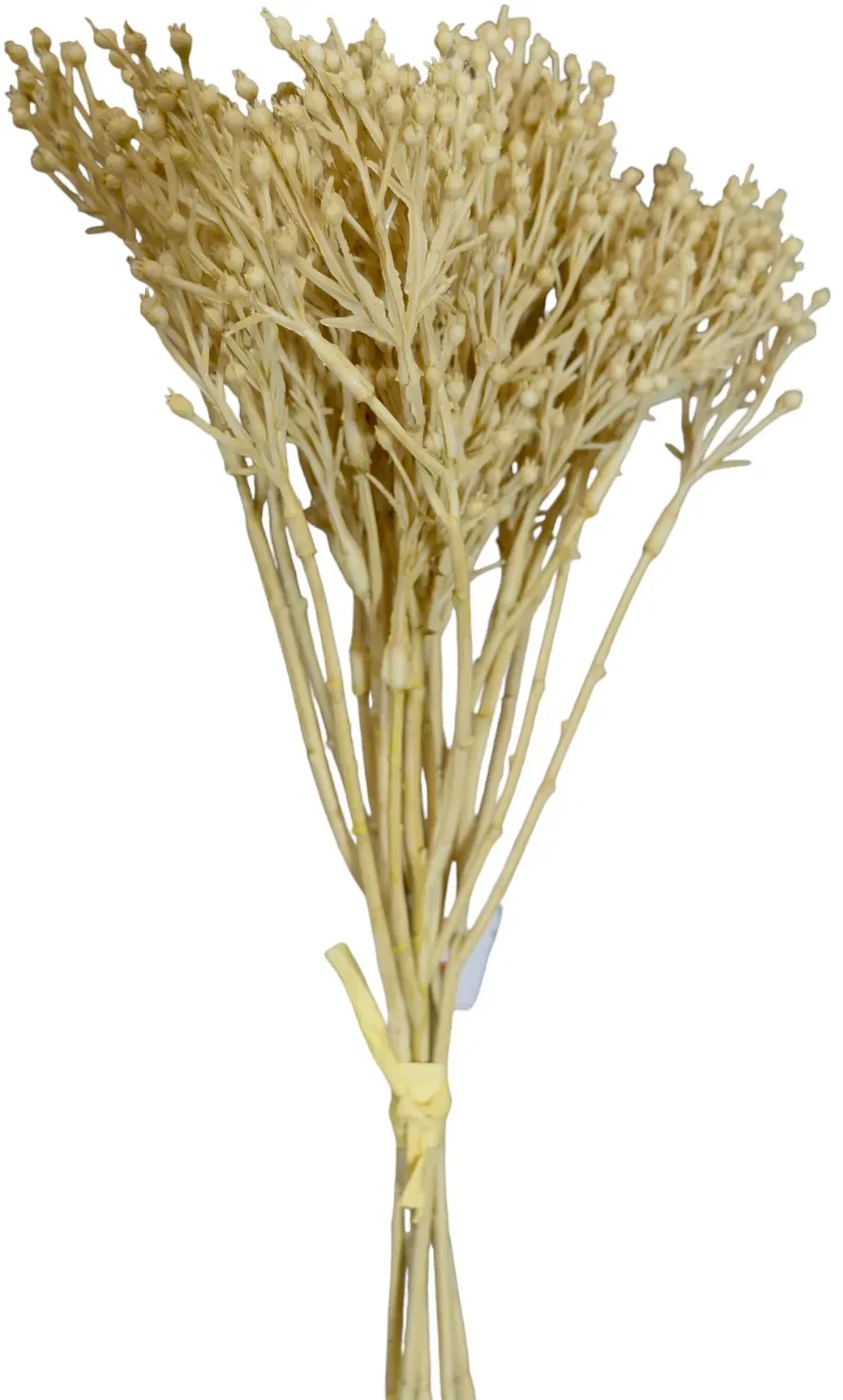 Gypso Bund 35cm trocken x6 beige