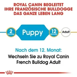 Royal Canin French Bulldog Junior 10 kg