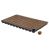 hga international b.v. Eazy Plug 77er Tray Anzuchtwürfel