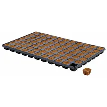 hga international b.v. Eazy Plug 77er Tray Anzuchtwürfel