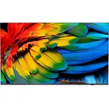 Philips 65HFL6214U/12 65 '' 4K LED Professional TV