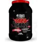 BMS CreaVitargo Mango Pulver 2000 g