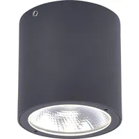 Paul Neuhaus LED Deckenlampe schwarz Aussenleuchte GEORG warmweiß IP54