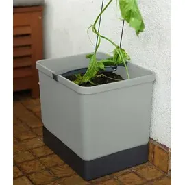Gusta Garden Curt Cucumber Pflanzkasten 34,7 x 28,1 x 13,8 cm hellgrau