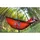 ENO - Hängematten - ENO DoubleNest - Deluxe Orange / Grey - ENO-DD006 - Orange/Grau