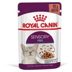 Royal Canin Sensory Feel Katzen-Nassfutter 2 Kartons (24 x 85 g)