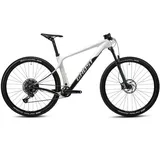 Ghost Lector SF 29R Mountain Bike Light Grey/Black glossy/matt | M/44.1cm