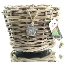 Van der Leeden DRYPOT® Rattan Pflanzgefäß Grau Ø ca. 20 cm - Sylter Körbe